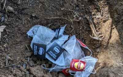 Bolsitas de té para analizar la salud del suelo en la Ciudad de l@s Niñ@s