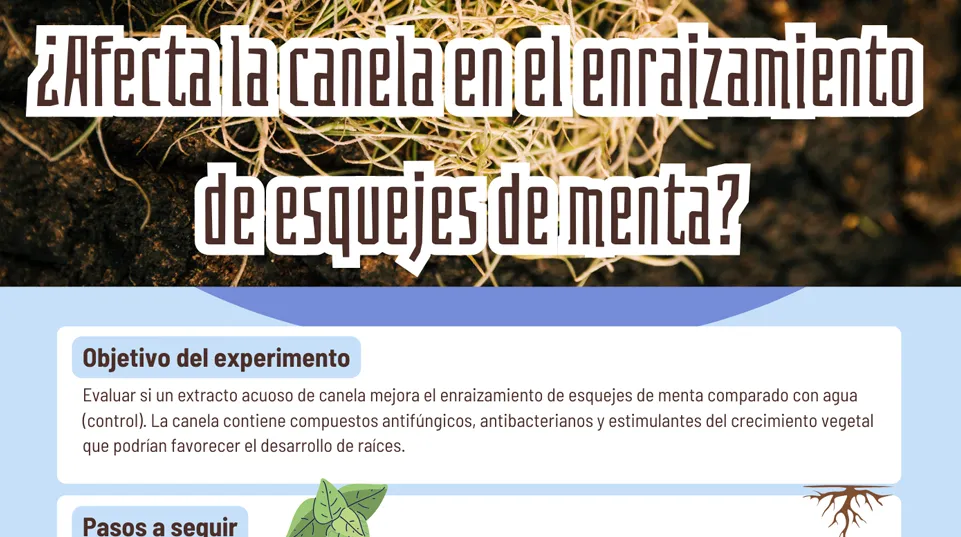 archivo-6