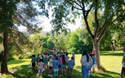 ConCiencia Forestal: resumen y resultados del proyecto