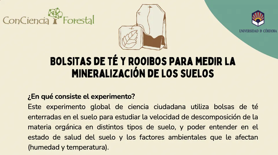 material-15